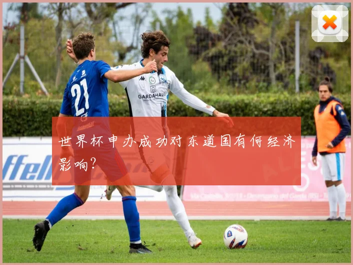 世界杯申办成功对东道国有何经济影响?